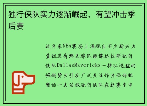 独行侠队实力逐渐崛起，有望冲击季后赛